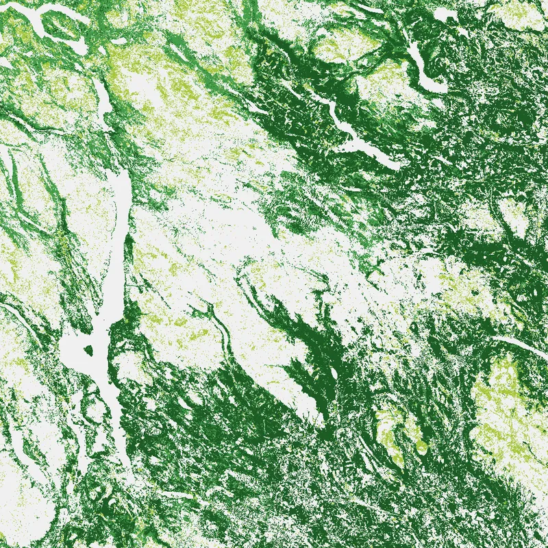 Copernicus Land Monitoring Service: Metsä- ja ruohokerrokset